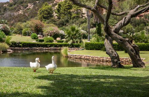 NG Collection gli Oleandri - Foto 61