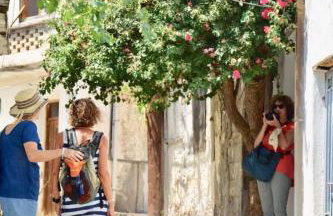 Solomon Royal Garden - Foto 23