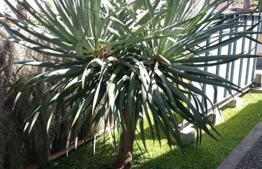 Refúgio do Limoeiro - Foto 31