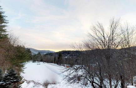 Silver Spring Chalet Spacious 4BR Retreat 1888 - Foto 42