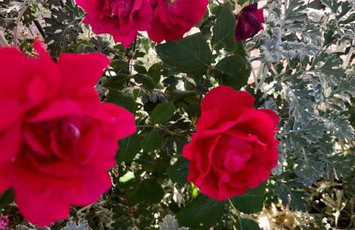 Casale Fonte delle Pietre - Foto 32