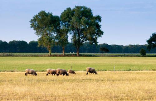 Natures-Rest Wielen - Foto 31