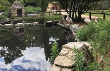 Gîtes des Deux Vallées La Borieta du Causse - Rocamadour - Foto 35