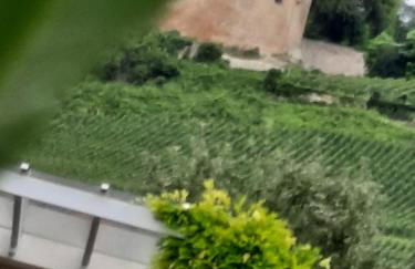 Apartment Rosalie Burgblick EuropaPark in ca 15min erreichbar - Foto 44