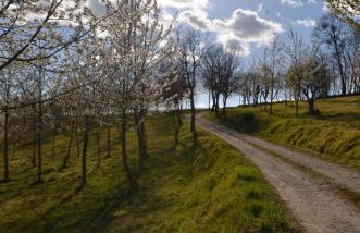 Casale Rancaglia - Foto 30