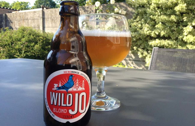 Antwerp Beer Tour - Foto 3