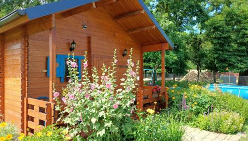 Smocze Ranczo - Foto 2