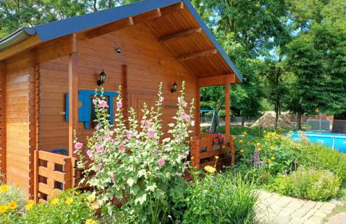 Smocze Ranczo - Foto 2