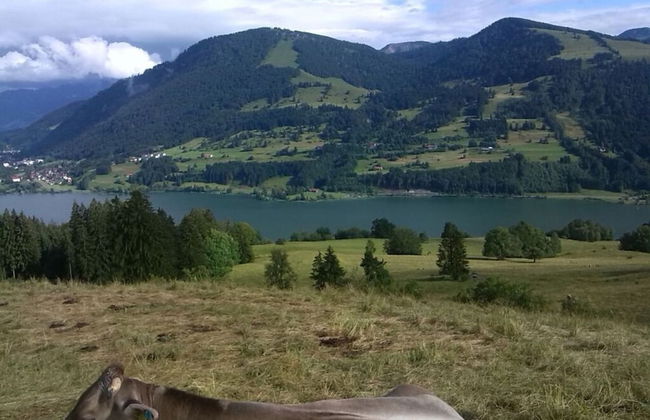 Kirsch Comfortable Holiday Residence - Photo 15