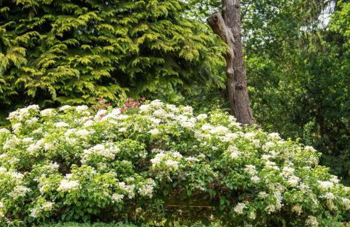 Apartment in a Wooded Area on Lake Faak - Foto 29