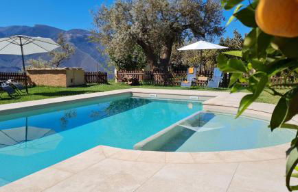 Tropical Studio - Foto 10