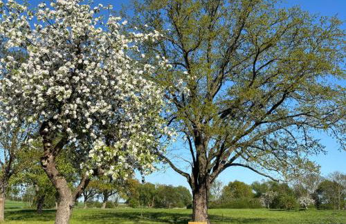 Ferienwohnung Domaene Kermen - Foto 34