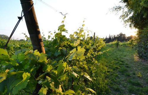 Rosalinde House - Foto 48