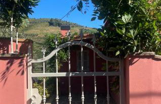 Outeiro Douro House - Photo 9