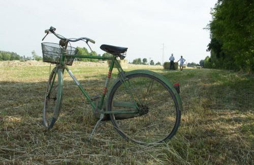 Agriturismo Villa Mocenigo - Photo 51