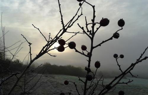 Wohnung in Burggrub mit Sauna und Garten - Foto 63