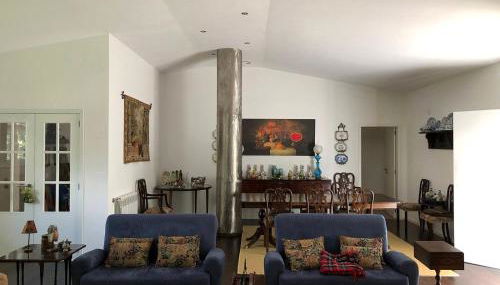 Casa do Galo / Galo House - Foto 4