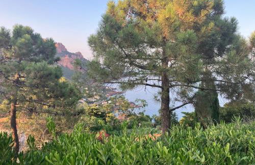 Appartement à Anthéor avec vaste piscine, vue mer et montagne - Foto 21