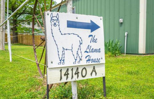 Llama House - Foto 11