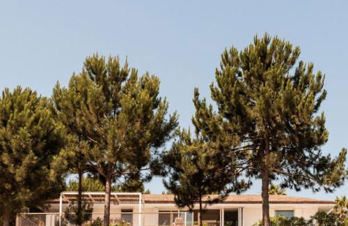 Campo de Arroz - Foto 1