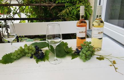 Apartment Weinbergglück - Foto 15