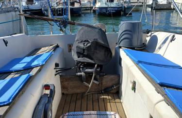 Sem Gritos - Photo 6