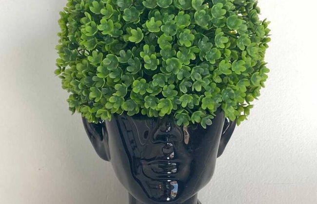 Pharaoh pyramids view - Foto 14