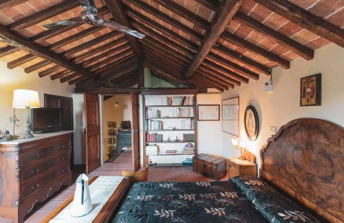 Domus Bononiae - Foto 9