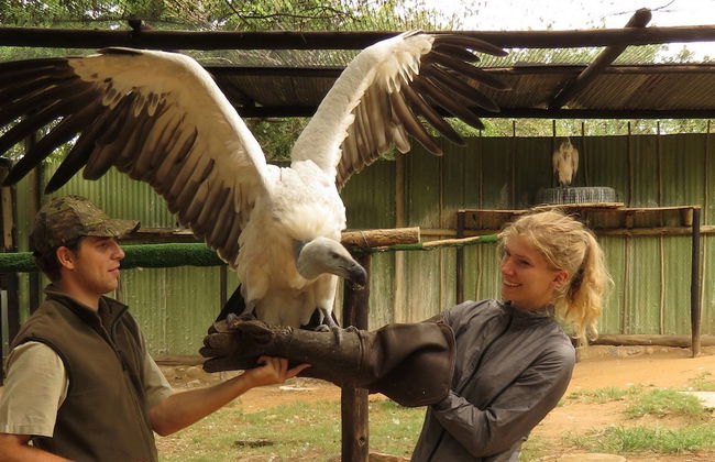 Blyde River Cabin Guesthouse - Foto 34