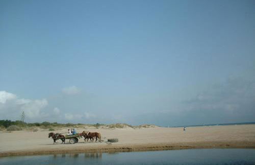 Oliva Nova Golf - Photo 15