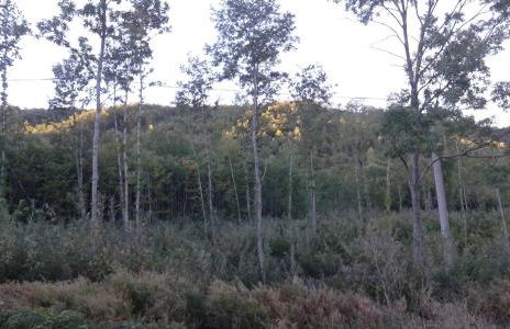 La Casetta Di Anna - Photo 28