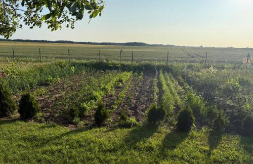 Apartament Willa Dom wakacyjny Agroturystyka Zacisze11 Idealny dla rodzin z dziećmi Holiday Home Vacation House",Cały dom na wyłączność - Foto 45