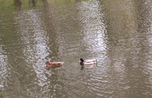 Nant House - Foto 43