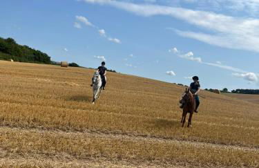 Stewards Cottage - Foto 76