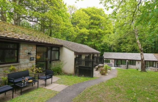 Painters Cottage, 2-bed Chalet nr St Ives & Hayle - Foto 22