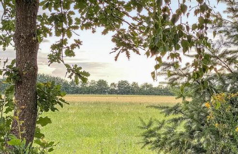 Ferienhaus 6 In Thalfang - Foto 10