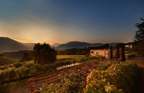 Weingut Stuck - Foto 1