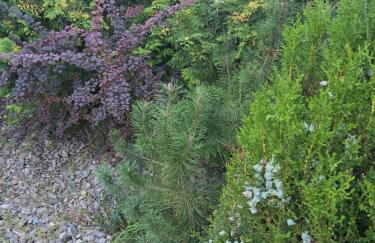 Apartament Nad Nielbą 6Bm2 z ogrodem - Foto 30