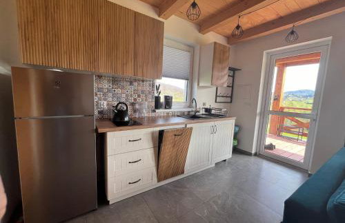 Biesiedlisko Bieszczadzkie - Foto 8