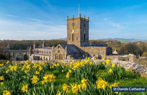 Tri Pysgodyn - Photo 31