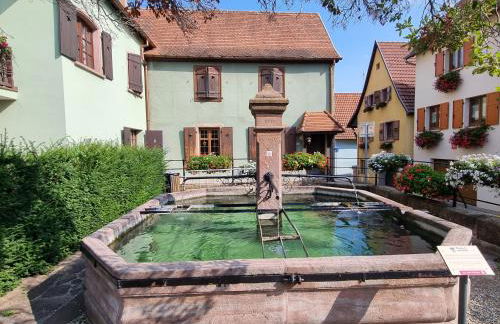 Nid douillet au cœur du vignoble alsacien - Foto 16