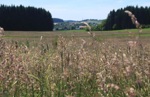 Zehentmayrhof - Photo 64