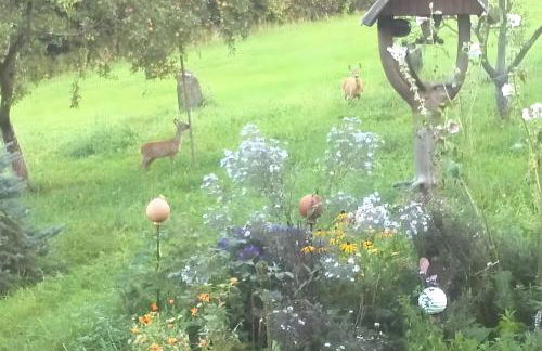 Ferienwohnung Böhme - Foto 10