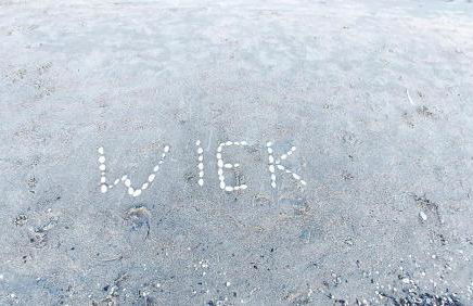 Bungalow im Garten in Wiek - Foto 21