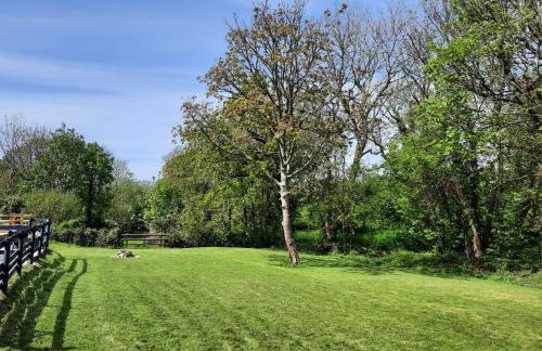 Beautiful Cabin near Padstow - Foto 32