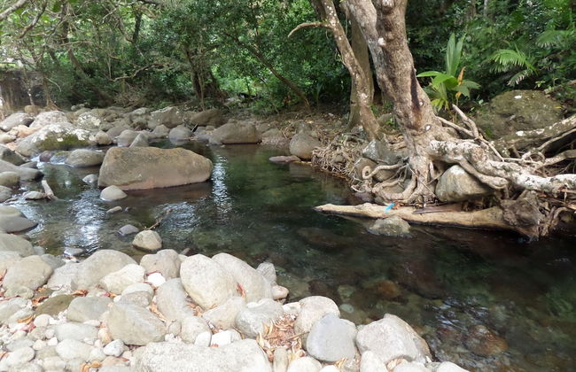 Citrus Creek Plantation - Photo 73