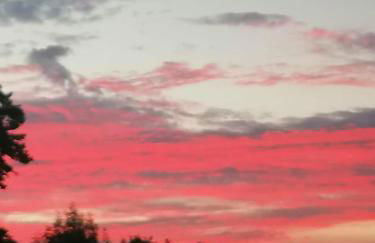 Haus Lupo am Kanal - Foto 24