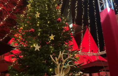 Gästewohnung Lipperland - Foto 32