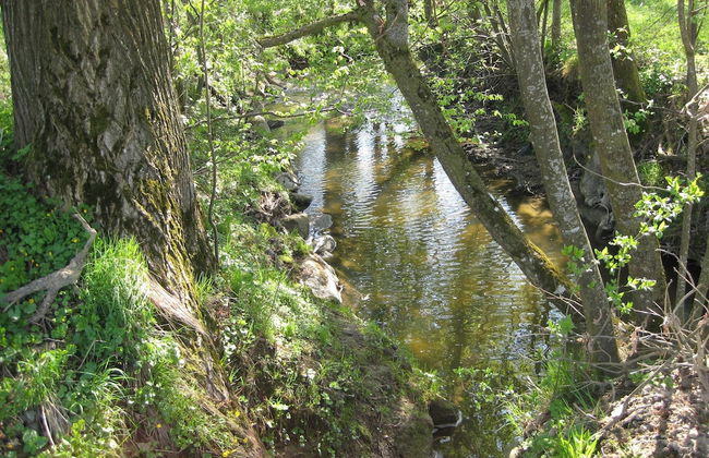 Wohnung in Rotthalmunster mit Garten - Photo 17