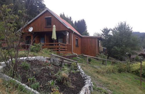 Ferienhaus am Vogelsberg - Photo 1